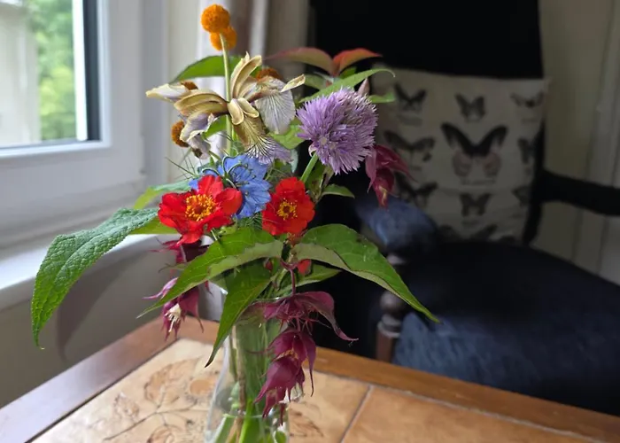 Kingsmede Bed & Breakfast