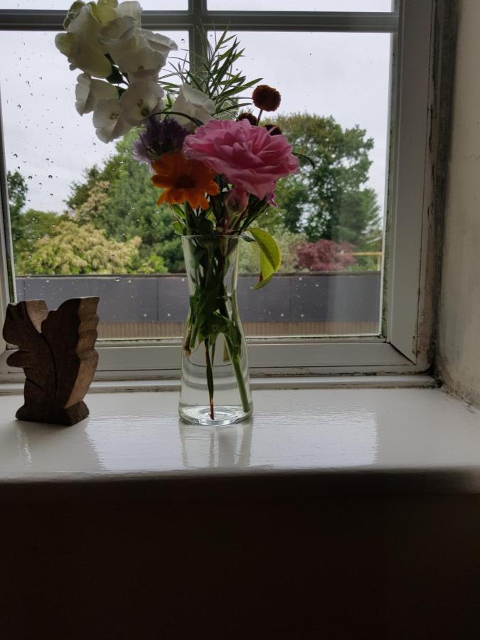 Bed and breakfast Kingsmede