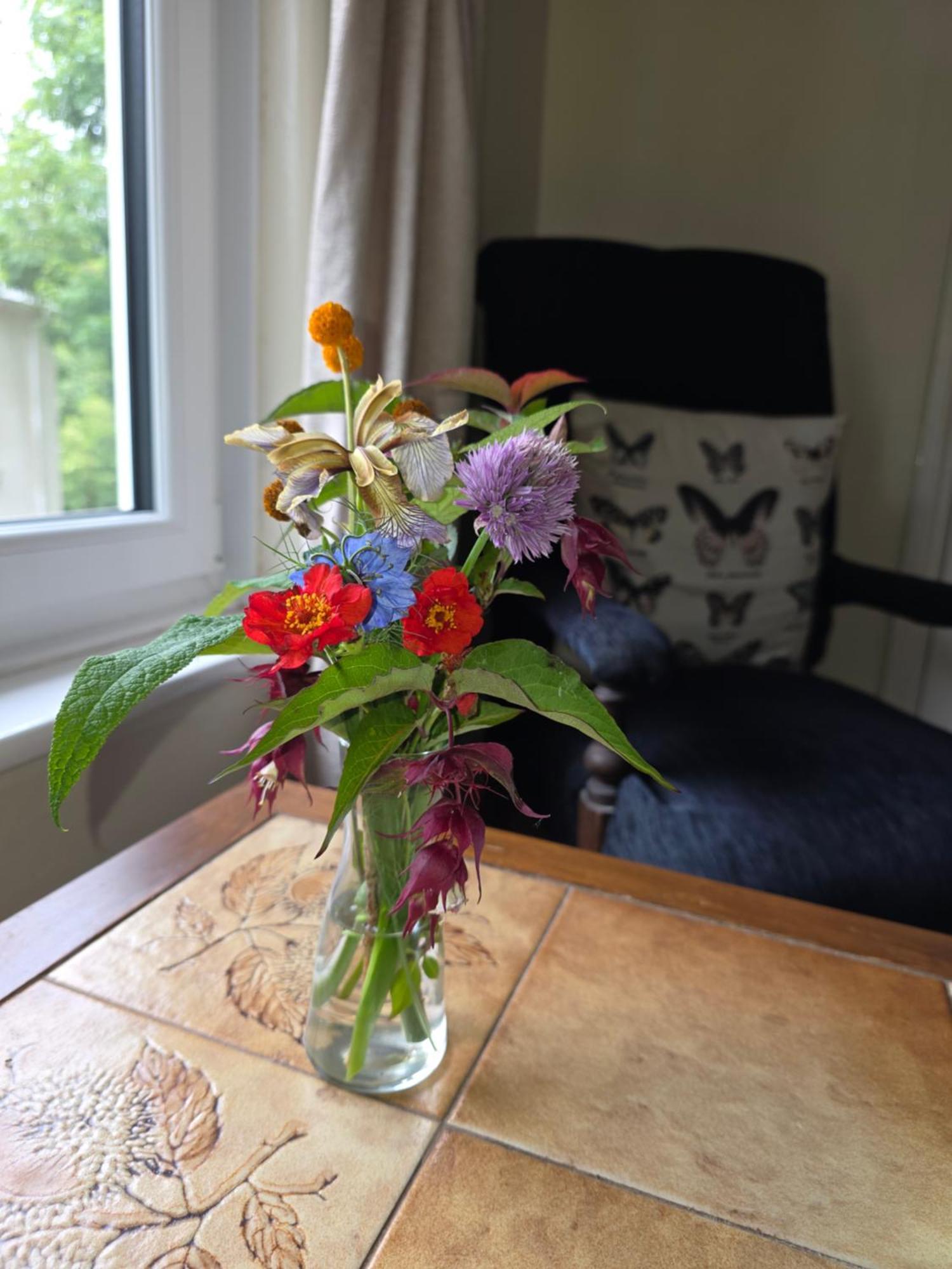 Bed and breakfast Kingsmede 3*