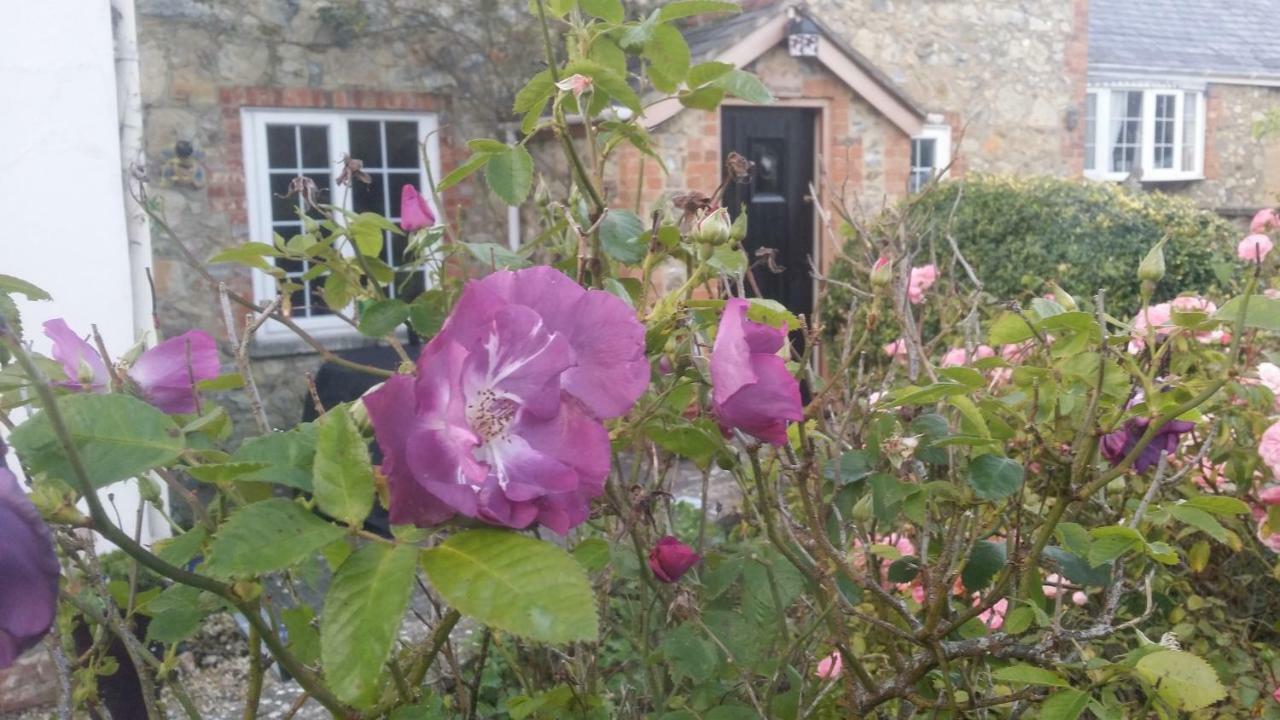 Bed and breakfast Kingsmede Ventnor